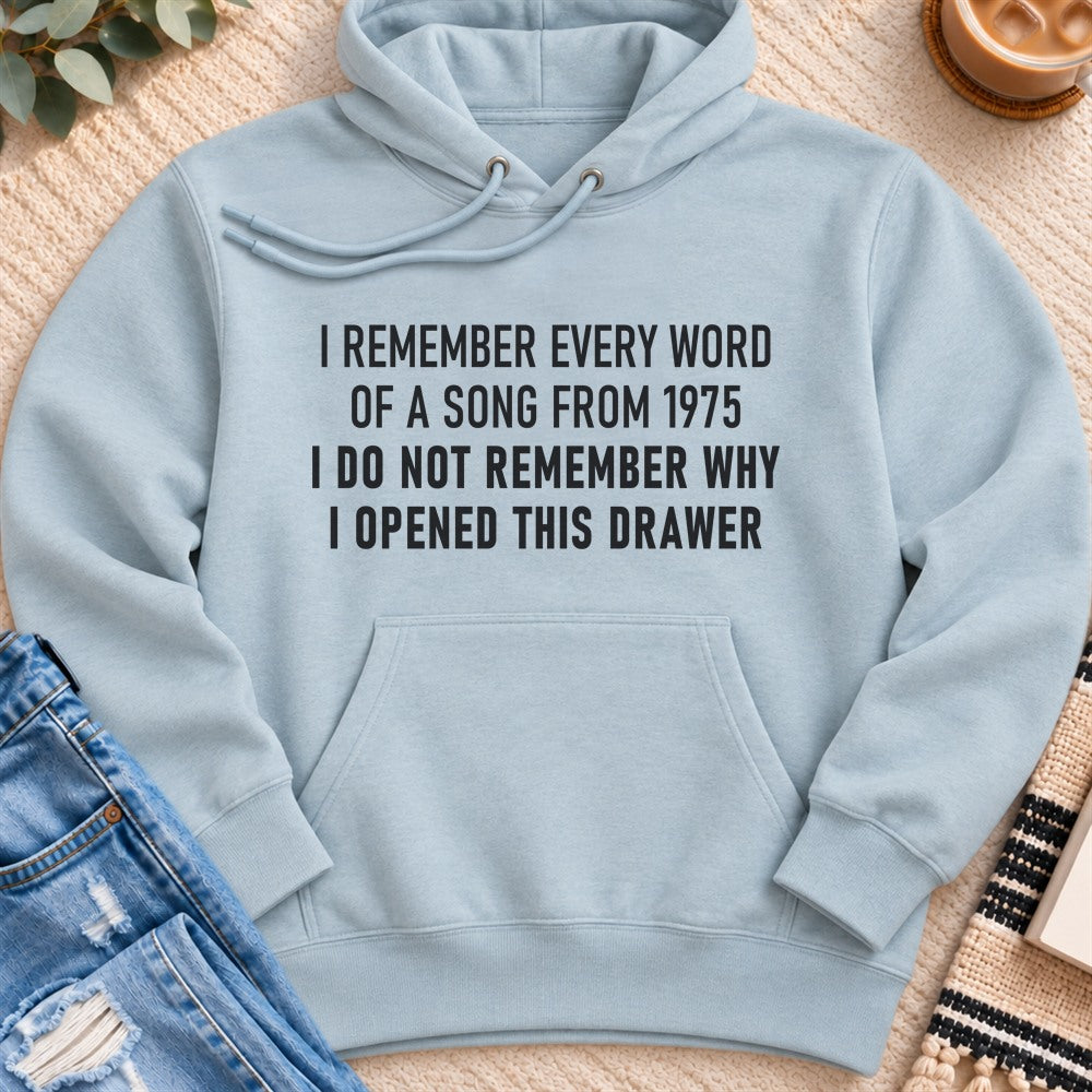 I Remember Every Word of a Song From 1975 Premium Hoodie in Blue Mist - Quiet Chaos Co unisex mental health hoodie