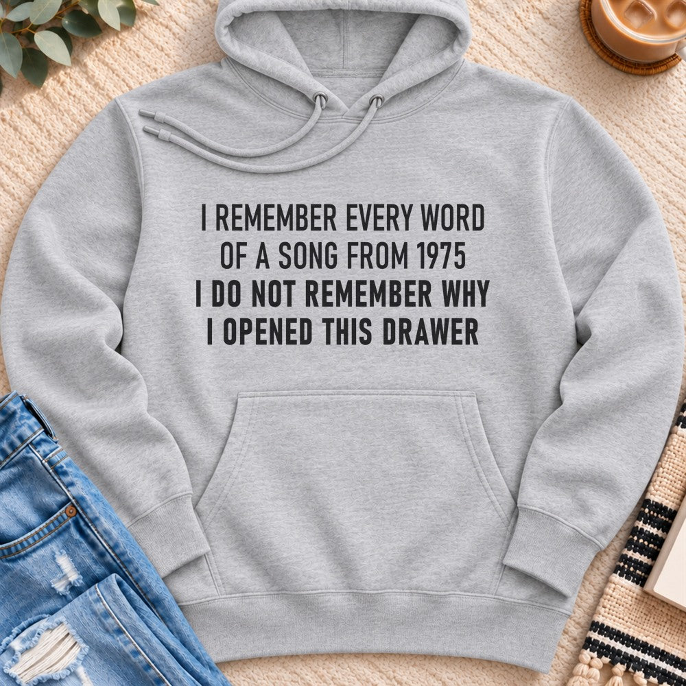 I Remember Every Word of a Song From 1975 Premium Hoodie in Heather Grey - Quiet Chaos Co unisex mental health hoodie